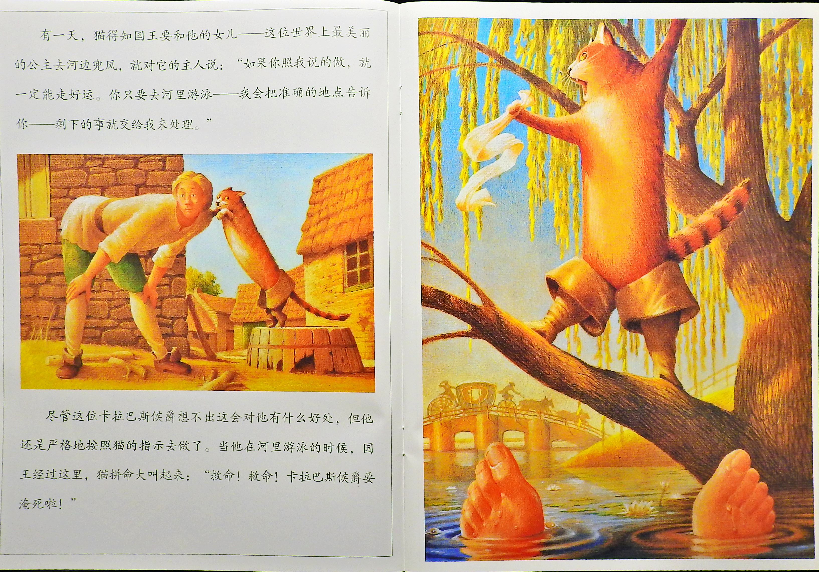 穿靴子的猫 (08),绘本,绘本故事,绘本阅读,故事书,童书,图画书,课外阅读
